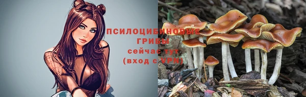 PSILOCYBIN Белоозёрский